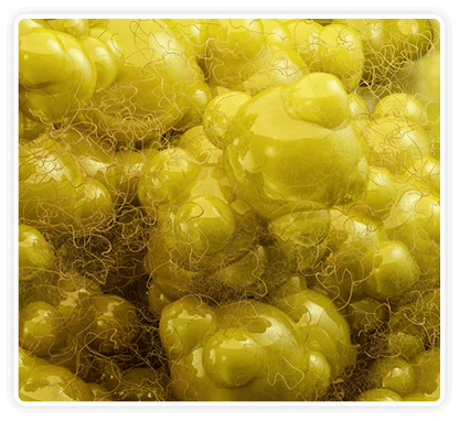 CitrusBurn potential benefits illustration