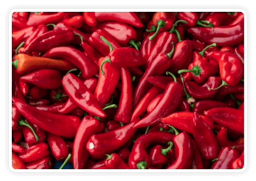 Andalusian red pepper — CitrusBurn ingredient