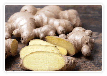 Himalayan mountain ginger — CitrusBurn ingredient