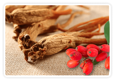 Berberine and Korean red ginseng — CitrusBurn ingredient